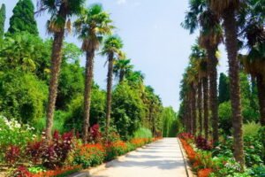 Веб-камеры Никитский ботанический сад